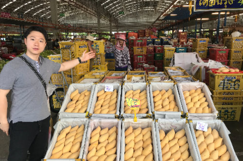 ゴールデンマンゴー タイ３